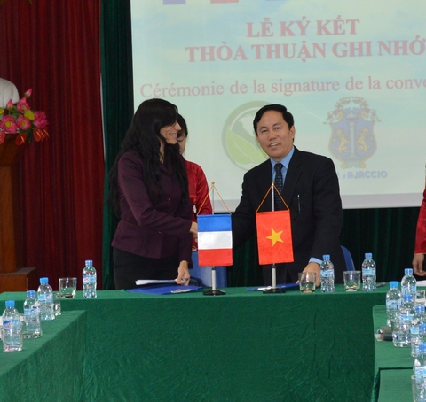 Hai phong NGO 4